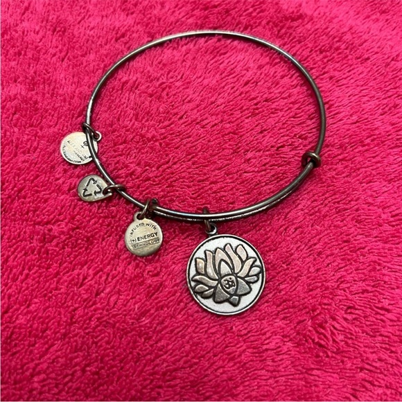 Alex & Ani bangle bundle - Picture 2 of 5